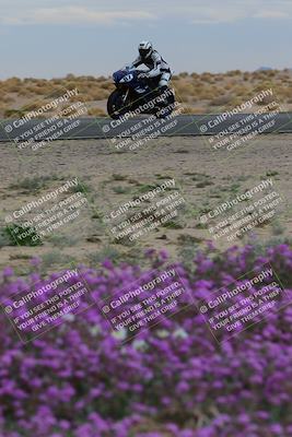 media/Jan-14-2023-SoCal Trackdays (Sat) [[497694156f]]/Turn 14 Exit Bloomig (145pm)/